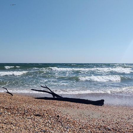 Van Studio Нэводари Экстерьер фото
